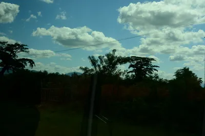 DSC_9659 (Large).JPG